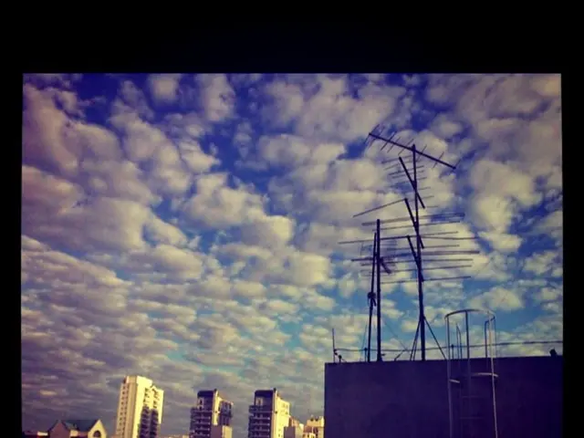 Airtel Africa recruits Bayo Adekanmbi from MTN to spearhead its global strategy initiatives