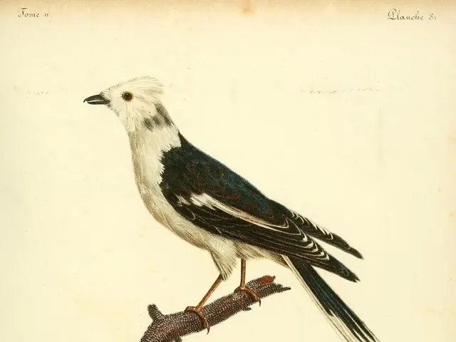 Historical Pioneers in Science Often Overshadowed