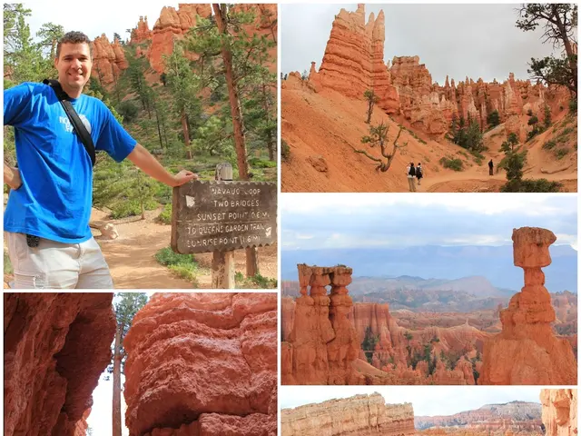 Delving into the Realm of Visual Landscapes