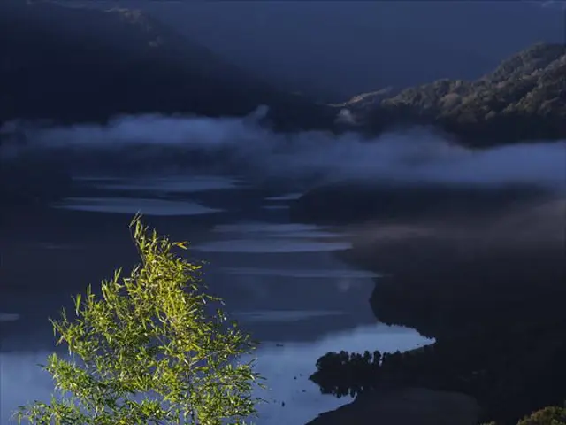 Hydrogen: Environmental Savior or Energy Imperialism Debate?