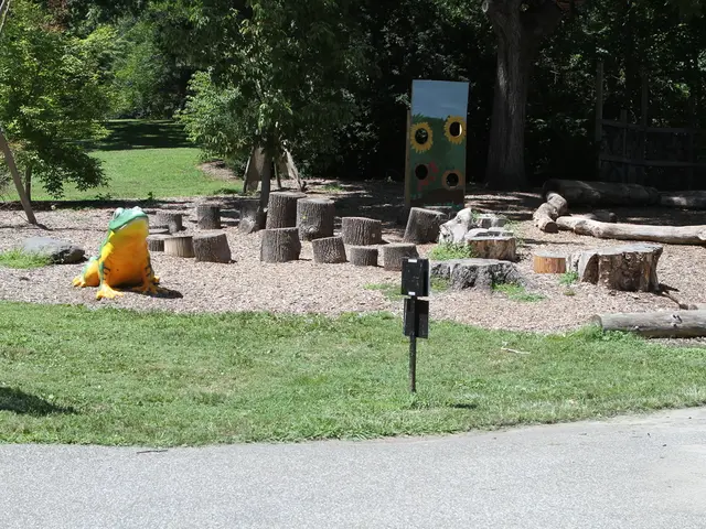 Top 12 Math Tools for Outdoor Learning, Fosterring Astonishment in Young Minds