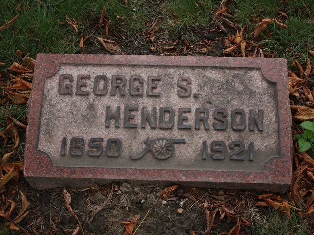 In the center of the picture there is a gravestone. In this picture there are dry leaves, soil and...