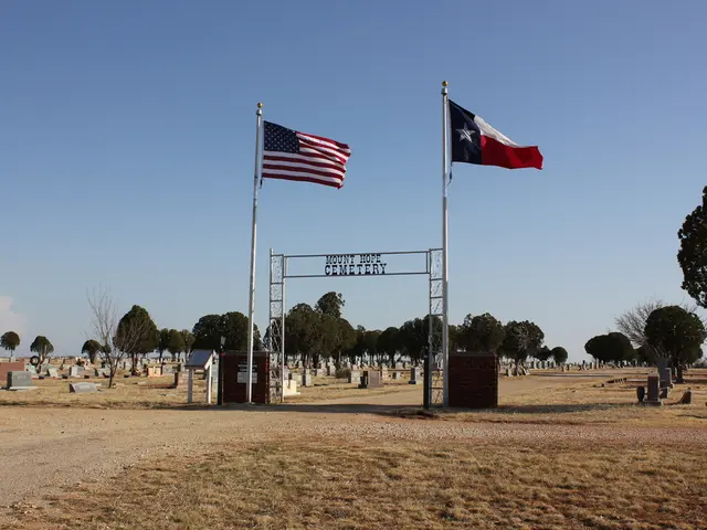 In this image I can see two flags in blue, red and white color. Background I can see trees in green...