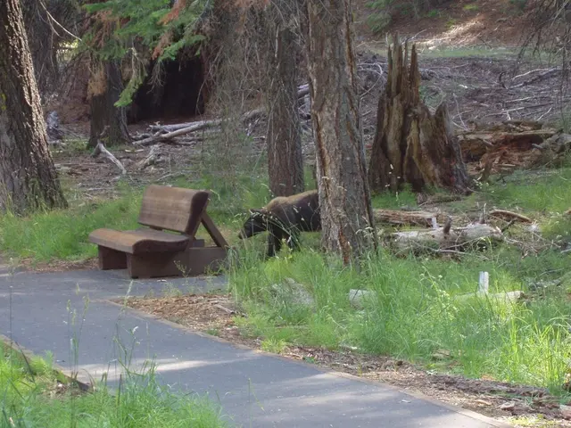 In this image there is an animal on the grass land having few trees and wooden trunks are on it....