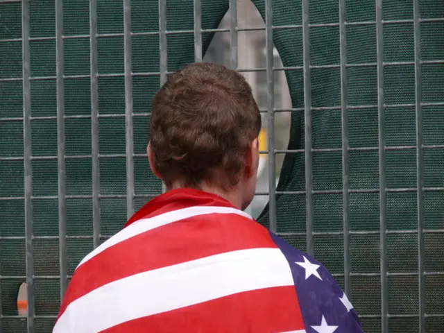 In the image we can see a person facing back. Here we can see the flag of the country and the mesh.