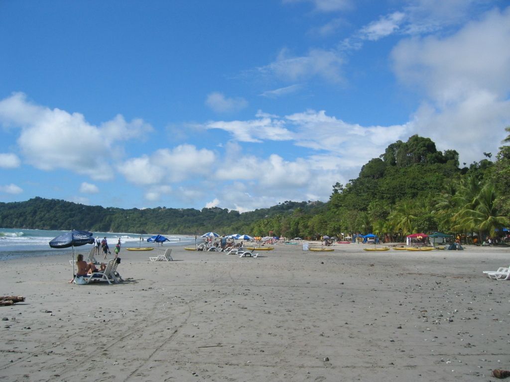 Students are engaged in an exercise where they meticulously examine a specific object and...